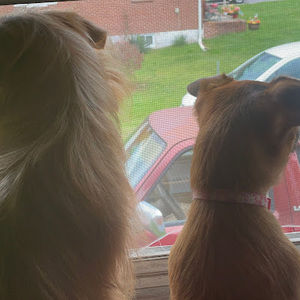 Meet your Posher, Melanie